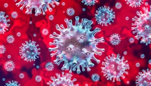 Answering questions about the Novel Coronavirus COVID-19